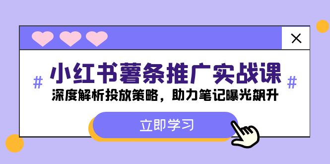 小红书-薯条推广实战课：深度解析投放策略，助力笔记曝光飙升-南友云赚