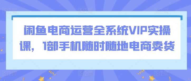 闲鱼电商运营全系统VIP实操课，1部手机随时随地电商卖货-南友云赚