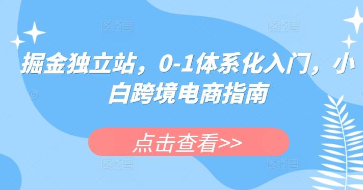 掘金独立站，0-1体系化入门，小白跨境电商指南-南友云赚