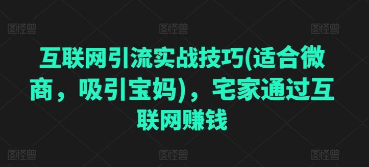 互联网引流实战技巧(适合微商，吸引宝妈)，宅家通过互联网赚钱-南友云赚
