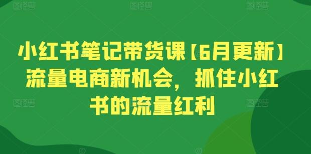 小红书笔记带货课【6月更新】流量电商新机会，抓住小红书的流量红利-南友云赚