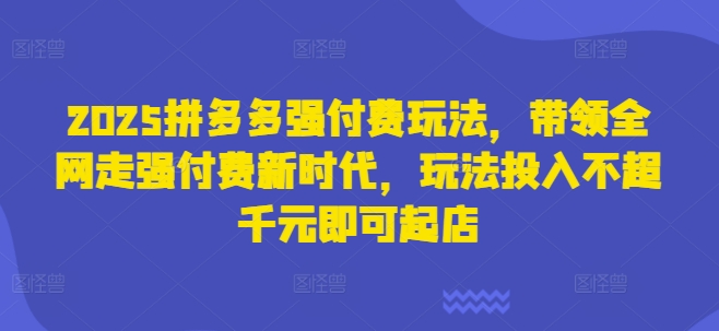 2025拼多多强付费玩法，带领全网走强付费新时代，玩法投入不超千元即可起店-南友云赚
