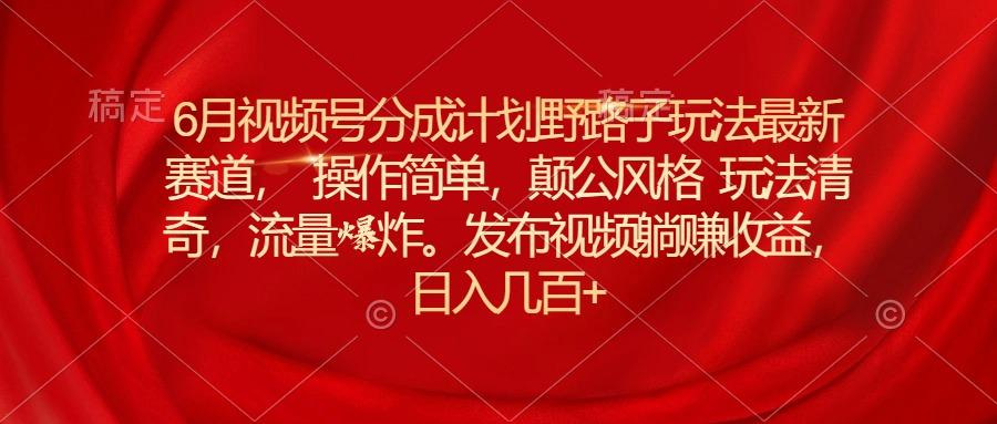 6月视频号分成计划野路子玩法最新赛道操作简单，颠公风格玩法清奇，流…-南友云赚
