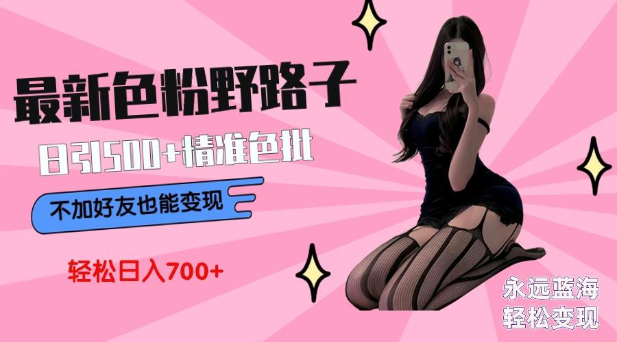 最新色粉变现野路子，日引500+老色批 可不加好友直接变现 小白轻松日入700+-南友云赚