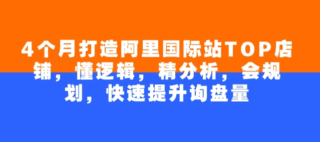 4个月打造阿里国际站TOP店铺，懂逻辑，精分析，会规划，快速提升询盘量-南友云赚