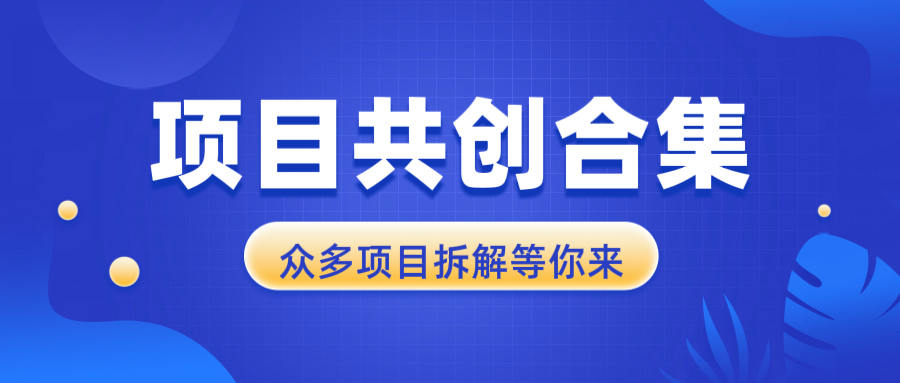 项目共创合集，从0-1全过程拆解，让你迅速找到适合自已的项目-南友云赚
