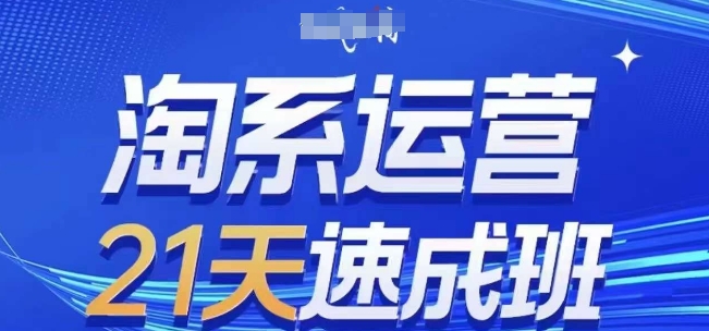 淘系运营21天速成班(更新25年2月)，0基础轻松搞定淘系运营，不做假把式-南友云赚