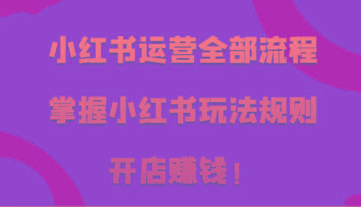 小红书运营全部流程，掌握小红书玩法规则，开店赚钱！-南友云赚