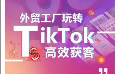 外贸工厂玩转TikTok高效获客，多种引流方式与账号定位技巧，拆解爆款短视频打造成功案例-南友云赚
