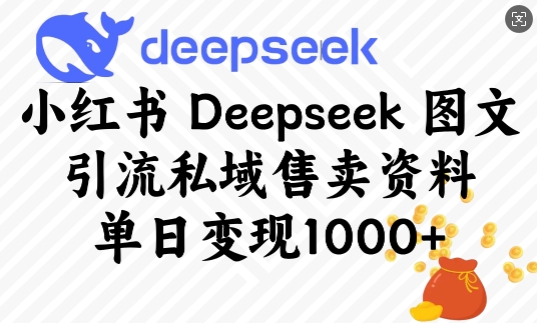 小红书Deepseek图文引流私域售卖资料，单日变现多张-南友云赚