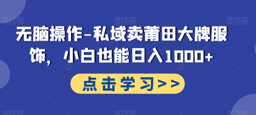 无脑操作-私域卖莆田大牌服饰，小白也能日入1000+-南友云赚