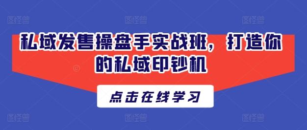 私域发售操盘手实战班，打造你的私域印钞机-南友云赚