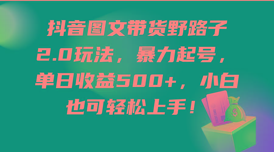 (9790期)抖音图文带货野路子2.0玩法，暴力起号，单日收益500+，小白也可轻松上手！-南友云赚