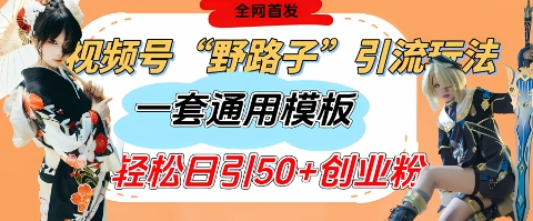 视频号“野路子”玩法，评论区疯狂截流，一套模板单日单号引流50+创业粉-南友云赚