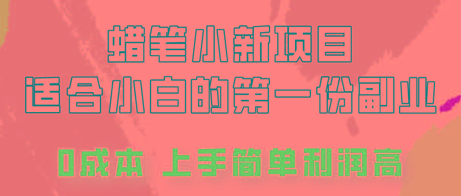 蜡笔小新项目拆解，0投入，0成本，小白一个月也能多赚3000+-南友云赚