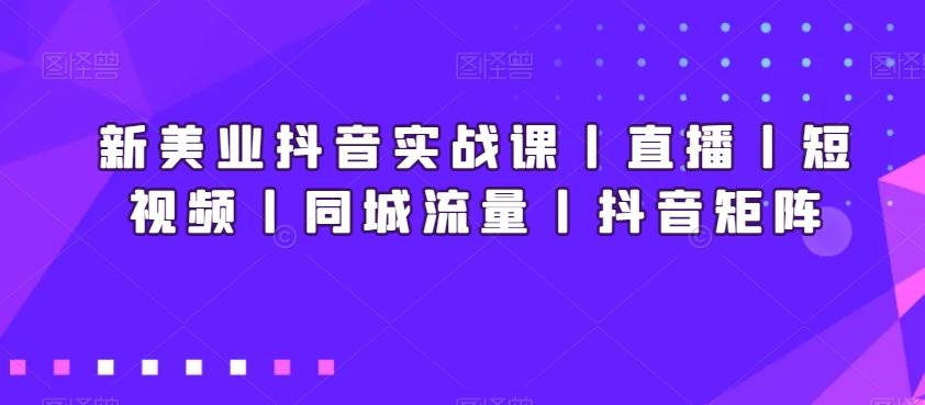 新美业抖音实战课丨直播丨短视频丨同城流量丨抖音矩阵-南友云赚