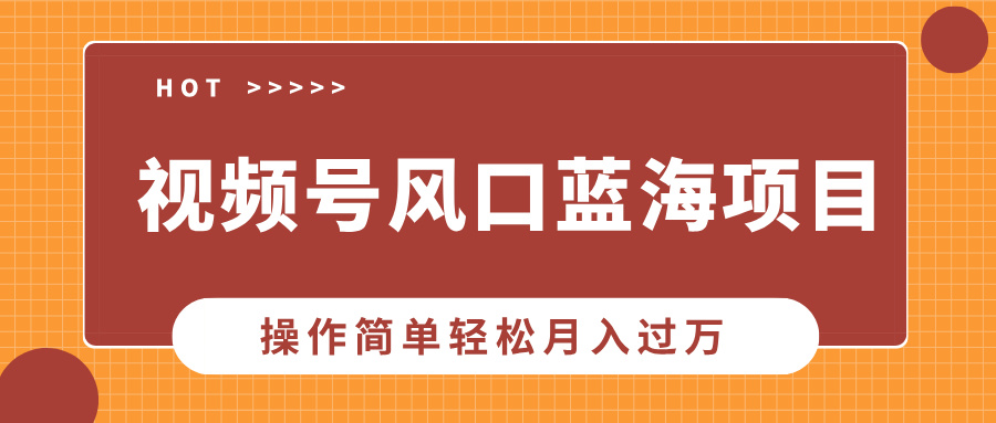 视频号风口蓝海项目，中老年人的流量密码，操作简单轻松月入过万-南友云赚