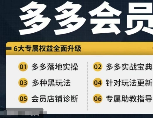 拼多多会员，拼多多实战宝典+实战落地实操，从新手到高阶内容全面覆盖-南友云赚
