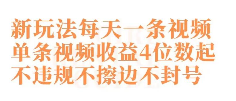 快手新玩法每天一条视频单条视频收益4位数起不违规不擦边不封号【揭秘】-南友云赚