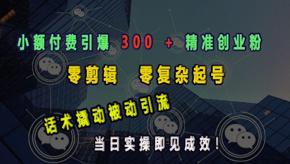 小额付费引爆 300 + 精准创业粉，零剪辑、零复杂起号，话术撬动被动引流，当日实操即见成效-南友云赚