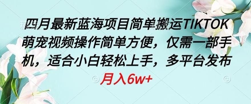 四月最新蓝海项目，简单搬运TIKTOK萌宠视频，操作简单方便，仅需一部手机【揭秘】-南友云赚