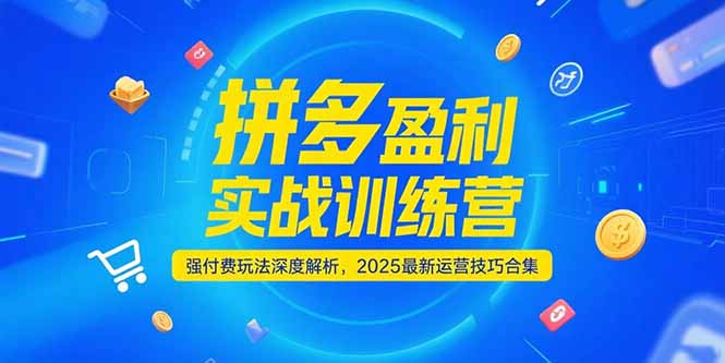 拼多多盈利实战训练营，强付费玩法深度解析，2025运营技巧合集-更新6月-南友云赚