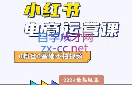 达哥·小红书电商运营(2024版)-南友云赚