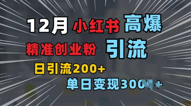 小红书一张图片“引爆”创业粉，单日+200+精准创业粉 可筛选付费意识创业粉【揭秘】-南友云赚