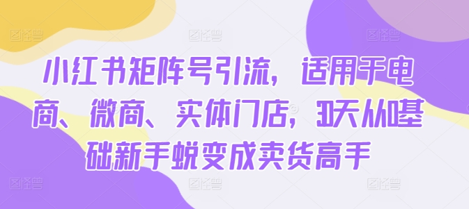 小红书矩阵号引流，适用于电商、微商、实体门店，30天从0基础新手蜕变成卖货高手-南友云赚