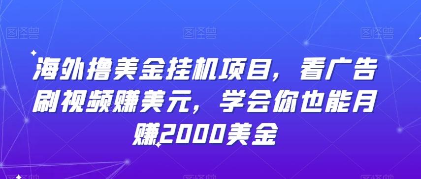 海外撸美金挂机项目，看广告刷视频赚美元，学会你也能月赚2000美金-南友云赚