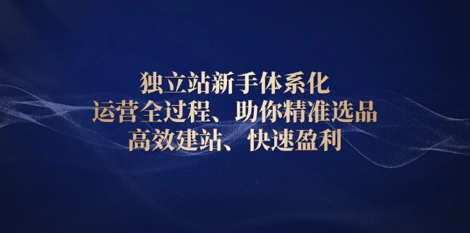 独立站新手体系化 运营全过程，助你精准选品、高效建站、快速盈利-南友云赚