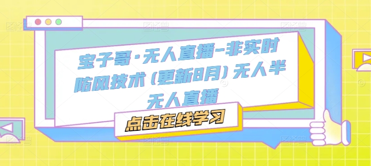 宝子哥·无人直播-非实时防风技术(更新8月)无人半无人直播-南友云赚