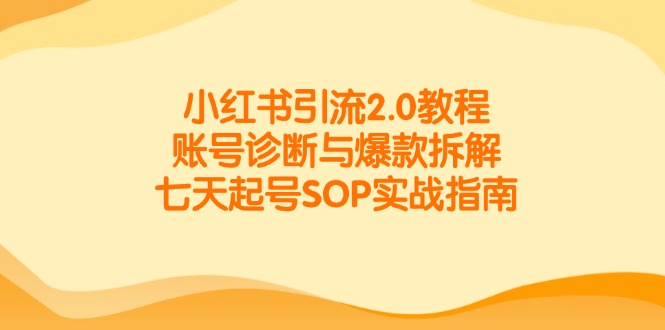 小红书引流2.0教程，账号诊断与爆款拆解，七天起号SOP实战指南-南友云赚