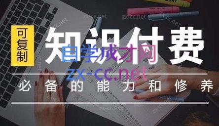 君哥·IP合伙人知识付费虚拟项目(更新24年6月)-南友云赚