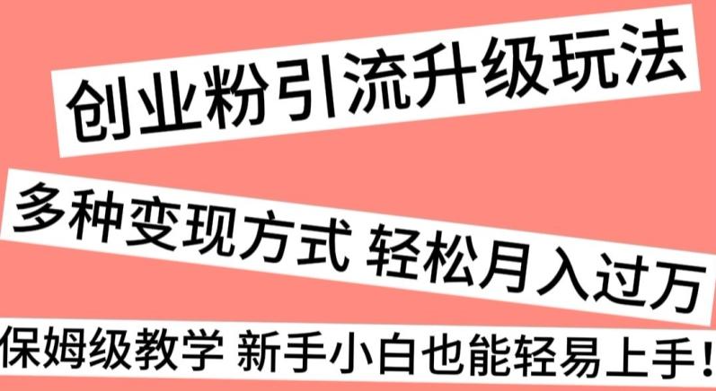 创业粉引流升级玩法，多种变现方式轻松月入过万，保姆级教学新手小白也能轻易上手！-南友云赚