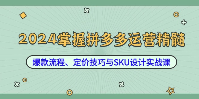 2024掌握拼多多运营精髓：爆款流程、定价技巧与SKU设计实战课-南友云赚