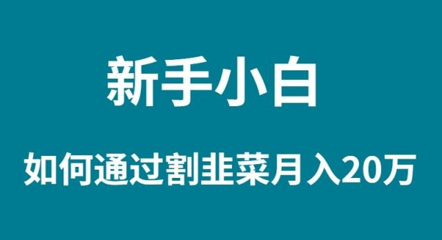 (9308期)新手小白如何通过割韭菜月入 20W-南友云赚