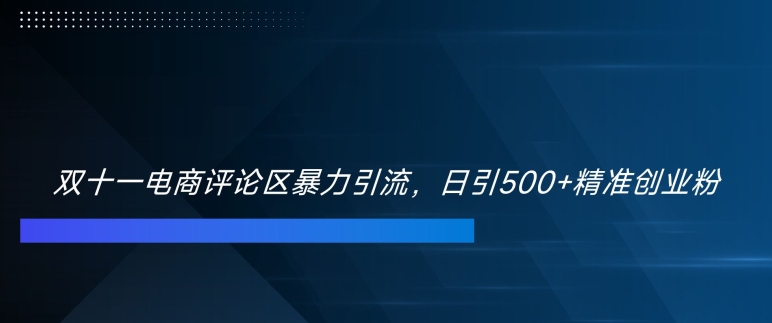双十一电商评论区暴力引流，日引500+精准创业粉【揭秘】-南友云赚