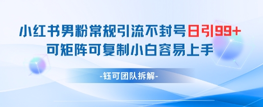 小红书男粉常规引流不封号日引99+变现简单 可矩阵可复制小白容易上手-南友云赚