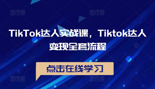 TikTok达人实战课，Tiktok达人变现全套流程-南友云赚