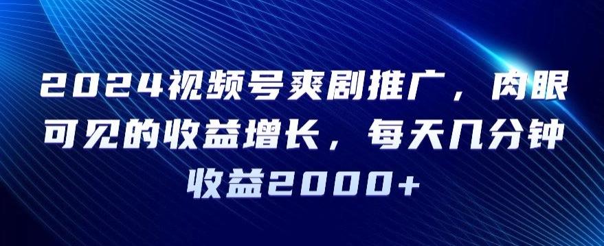 2024视频号爽剧推广，肉眼可见的收益增长，每天几分钟收益2000+【揭秘】-南友云赚