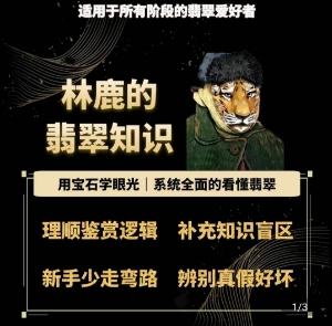 林鹿的翡翠知识，​用宝石眼光，系统全面的看懂翡翠-南友云赚