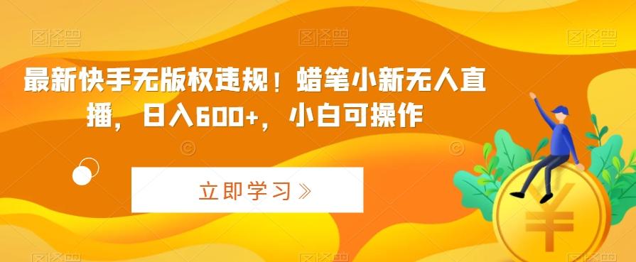 最新快手无版权违规！蜡笔小新无人直播，日入600+，小白可操作【揭秘】-南友云赚