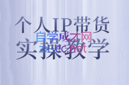 萌神姐姐·个人IP真人出镜短视频实操课-南友云赚