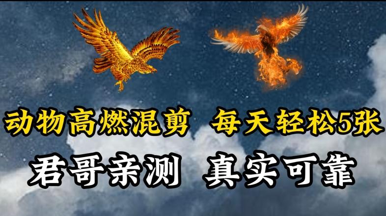 动物超燃混剪，每天轻松5张，剪辑简单大家爱看【揭秘】-南友云赚