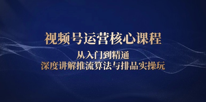 视频号运营核心课程，从入门到精通，深度讲解推流算法与排品实操玩-南友云赚