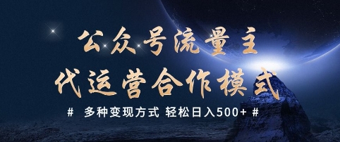 公众号流量主代运营  多种变现方式 轻松日入5张【揭秘】-南友云赚