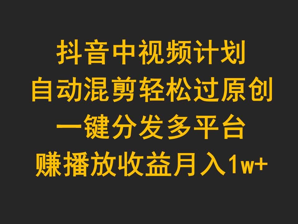 (9825期)抖音中视频计划，自动混剪轻松过原创，一键分发多平台赚播放收益，月入1w+-南友云赚