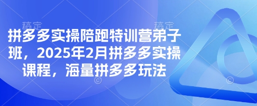 拼多多实操陪跑特训营弟子班，2025年2月拼多多实操课程，海量拼多多玩法-南友云赚
