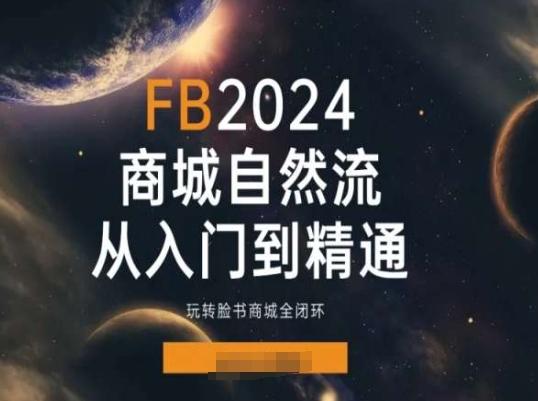 2024Faceboo商城自然流(从入门到精通)，玩转脸书商城全闭环-南友云赚